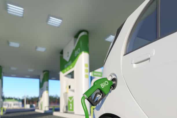 China Bioenergy Market Outlook 2025: Forecasting Growth in a Time of Economic and Policy Shifts