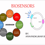 Biosensors Market, Report Forecasts Dynamic Growth Through 2035