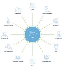 Electronic Trial Master File Market Report Forecasts Dynamic Growth Through 2035