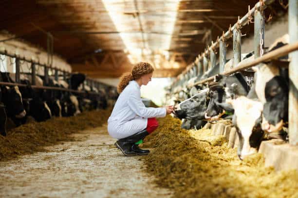 china Farm Animal Healthcare Market Outlook 2025: Forecasting Growth in a Time of Economic and Policy Shifts
