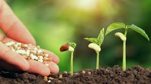 Fertilizer Additives Market Report Forecasts Dynamic Growth Through 2035 Fertilizer Additives Market Report Forecasts Dynamic Growth Through 2035