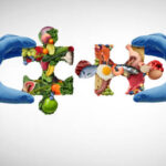 Japan Food Enzyme Market in Flux: Recession Signals, Tariff Pressures & Strategic Forecasts