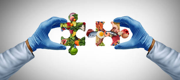 Japan Food Enzyme Market in Flux: Recession Signals, Tariff Pressures & Strategic Forecasts