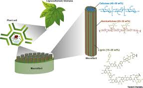 Lignin Materials Market Innovations: Trends and Strategic Opportunities By 2025. Lignin Materials Market Innovations: Trends and Strategic Opportunities By 2025.