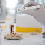 Mycotoxin Testing Market Report Forecasts Dynamic Growth Through 2035