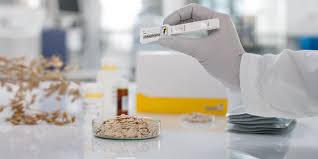 Mycotoxin Testing Market Report Forecasts Dynamic Growth Through 2035