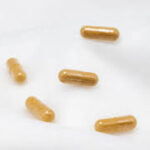 Pharmaceutical Gelatin Market Report Forecasts Dynamic Growth Through 2035