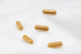 Pharmaceutical Gelatin Market Report Forecasts Dynamic Growth Through 2035