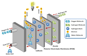 Polymer Electrolyte Membrane Fuel Cells Market Report Forecasts Dynamic Growth Through 2035