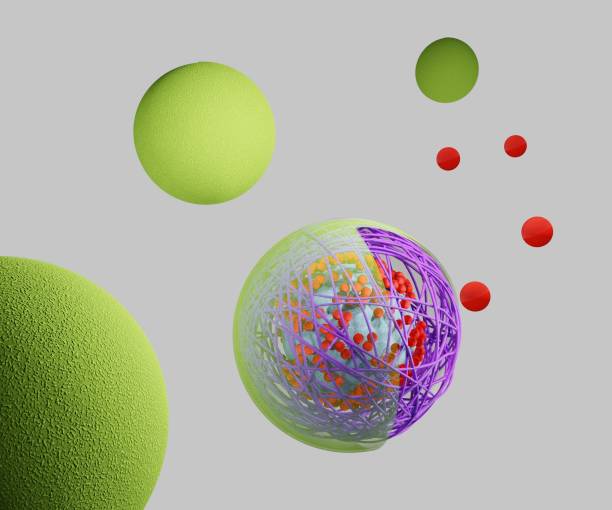 Japan Polymeric Membranes Market Intelligence Report: Recession Readiness and Tariff Implications Japan Polymeric Membranes Market Intelligence Report: Recession Readiness and Tariff Implications