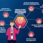 Regulatory Information Management Market Innovations: Trends and Strategic Opportunities By 2025.