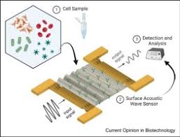 Surface Acoustic Wave Sensor Market Innovations: Trends and Strategic Opportunities By 2025.