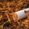 Japan Tobacco Market Economic Forecast 2025: Tariff Impacts, Recession Risk & Recovery Scenarios