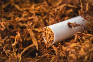 Japan Tobacco Market Economic Forecast 2025: Tariff Impacts, Recession Risk & Recovery Scenarios