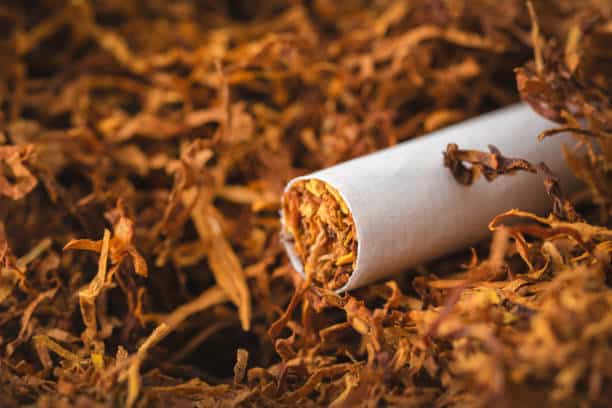 Japan Tobacco Market Economic Forecast 2025: Tariff Impacts, Recession Risk & Recovery Scenarios