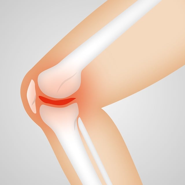 Japan Total Knee Arthroplasty Market Opportunities and Regional Insights 2025–2035