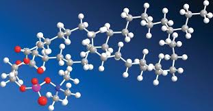 Lecithin and Phospholipids Market Innovations: Trends and Strategic Opportunities By 2025.