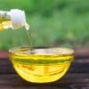Vegetable Oil Market Report Forecasts Dynamic Growth Through 2035