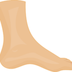 Europe Ankle Supports & Braces Market Size & Revenue Analysis 2035