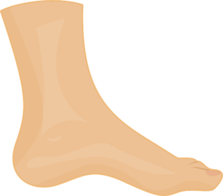 Europe Ankle Supports & Braces Market Size & Revenue Analysis 2035