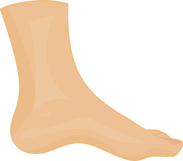 Europe Ankle Supports & Braces Market Size & Revenue Analysis 2035
