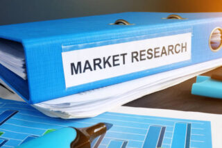Feed Mycotoxin Binders Market Report: Comprehensive Overview of Developments