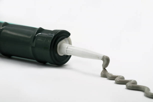 Singapore Bio-based Adhesives and Sealants Market Industry Analysis, Size, and Demand Forecast