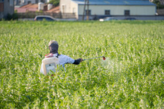 China Bioherbicides Market Forecast: Global Growth Outlook till 2035