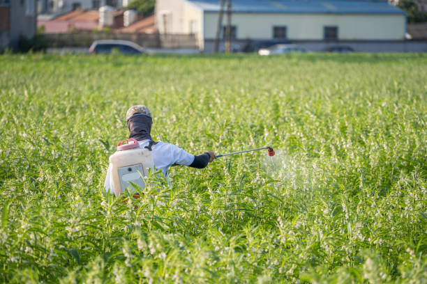 China Bioherbicides Market Forecast: Global Growth Outlook till 2035