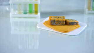 Europe Enzyme Modified Cheese Market Industry Analysis, Size, and Demand Forecast