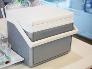 Japan Portable Mini Fridge Market Insights: Regional and Segmental Analysis