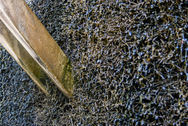 Europe Brine Concentration Market Size, Share, Growth Drivers Report 2035