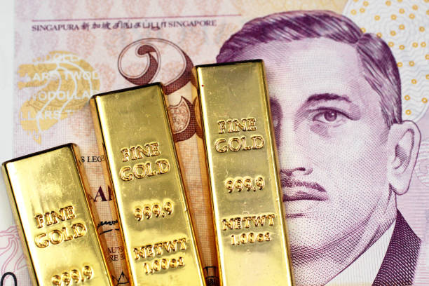 Singapore Gold Nanorod Market Size, Share, Growth Drivers Report 2035