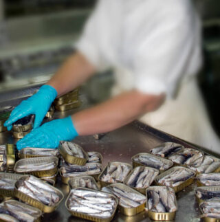 Europe Fish Processing Market Trends and Strategic Analysis 2025–2035