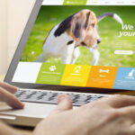 China Animal Shelter Software Market Opportunities and Regional Insights 2025–2035