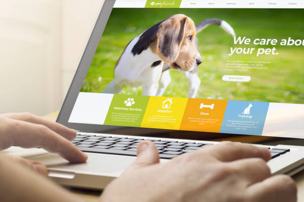 China Animal Shelter Software Market Opportunities and Regional Insights 2025–2035