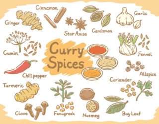 Japan Spices and Seasonings Market Size, Share, Growth Drivers Report 2035