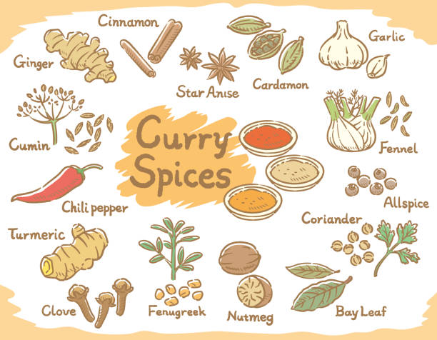 Japan Spices and Seasonings Market Size, Share, Growth Drivers Report 2035
