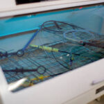 China Endoscope Washerdisinfector Market Strategic Insights and Business Growth Potential