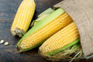 Europe Forage Seed Market Size, Trends, Analysis and Forecast till 2035