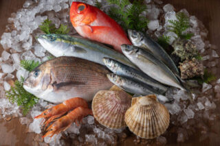 Japan Frozen Seafoods Market Size, Share, Growth Drivers Report 2035