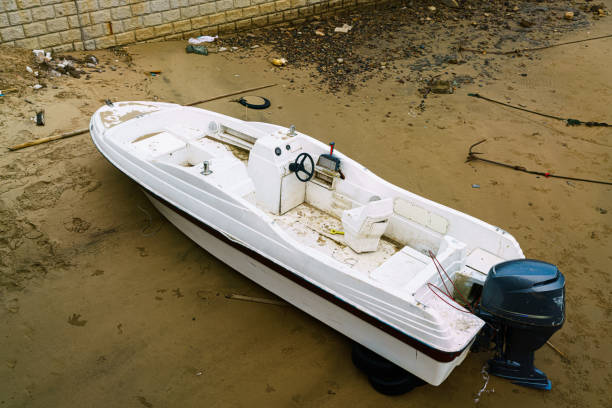 China Rubber Waterstop Market Insights: Regional and Segmental Analysis