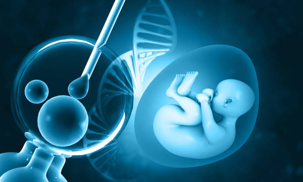 Europe Fertility Drug Market Research Report: Trends, Insights, and Forecast 2035