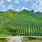 China Civil Engineering Design Software Market Strategic Insights and Business Growth Potential