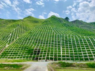 China Civil Engineering Design Software Market Strategic Insights and Business Growth Potential