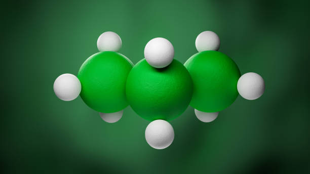 U.S. Polyvinylidene Fluoride Market Insights: Regional and Segmental Analysis