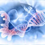 Europe 3D Ultrasound Market Size & Revenue Analysis 2035