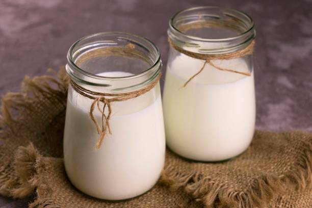 Europe Goat Milk Market Industry Analysis, Size, and Demand Forecast