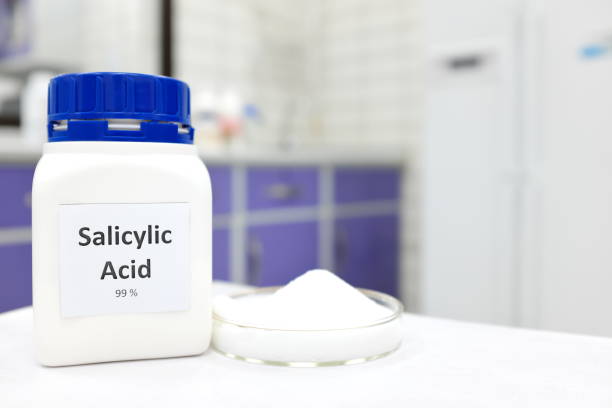 U.S. Polylactic Acid (PLA) Market Insights: Regional and Segmental Analysis