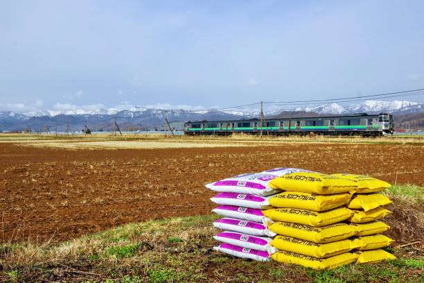 Japan Inorganic Fertilizers Market Size, Share, Growth Drivers Report 2035 Japan Inorganic Fertilizers Market Size, Share, Growth Drivers Report 2035